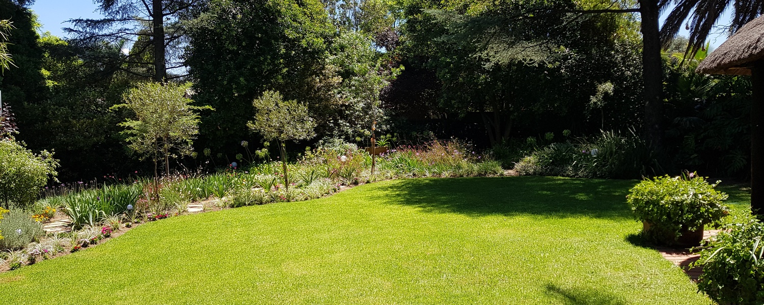 Garden in May